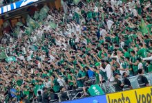 جماهير السعودية