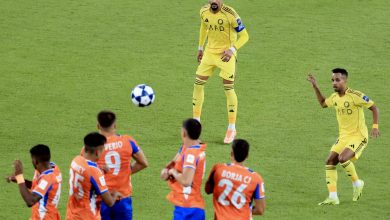 النصر - عبد الرحمن غريب