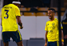 النصر - عبد الرحمن غريب