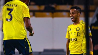 النصر - عبد الرحمن غريب