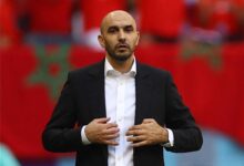 وليد الركراكي على رادار الأهلي