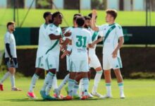 الأهلي 2026
