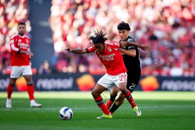 لياندرو باريرو لاعب بنفيكا