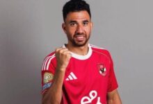 محمود تريزيجيه